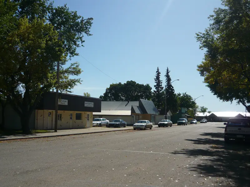 Tree-lined main street in Dalmeny with low commercial buildings and cars parked at the curb