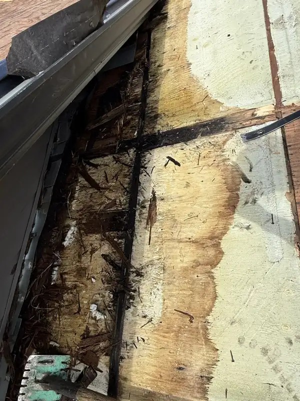 Rotted roof sheathing exposed along the eave beside the eavestrough after the old shingles came off