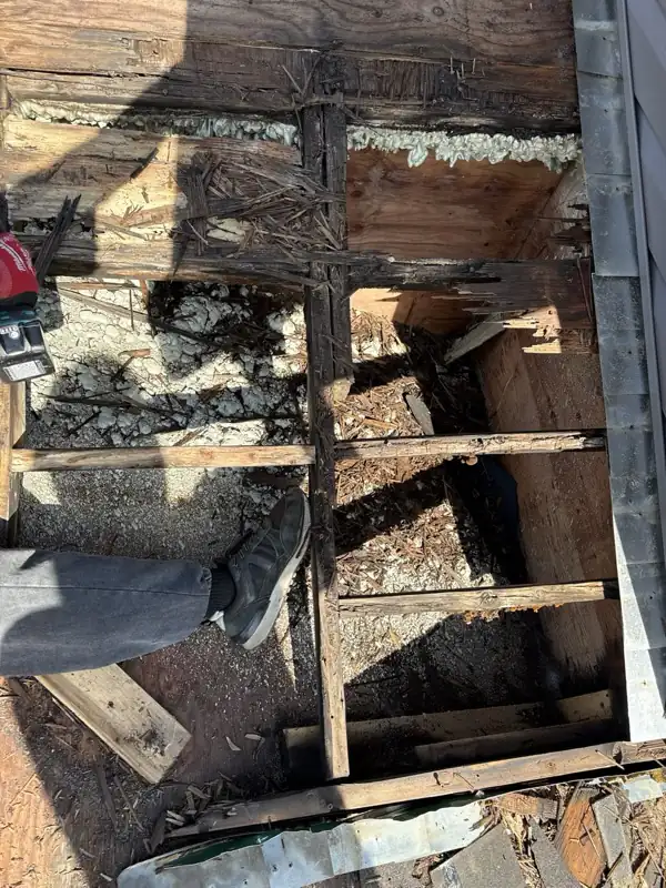 Roof opened up during the tear-off, with the framing between the trusses exposed, on the Roof Replacement in Saskatoon page