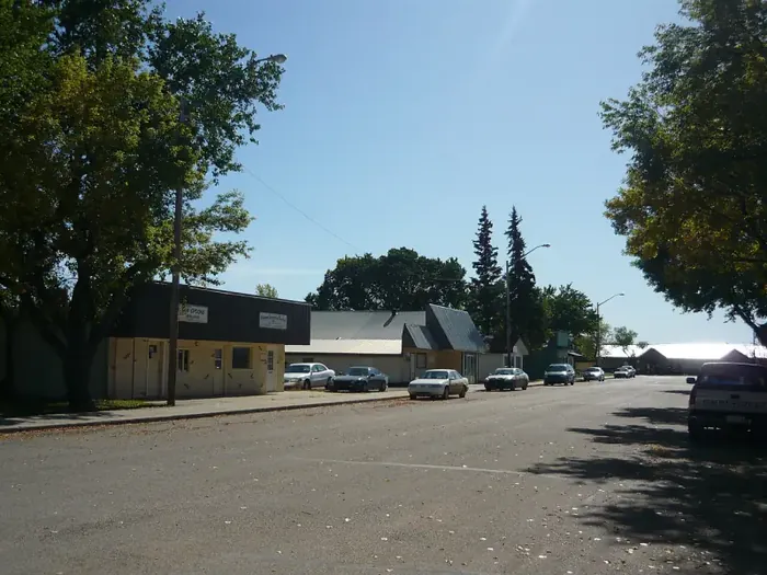 Tree-lined main street in Dalmeny with low commercial buildings and cars parked at the curb